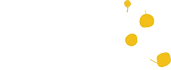 گروه طراحی و توسعه وب زرافه